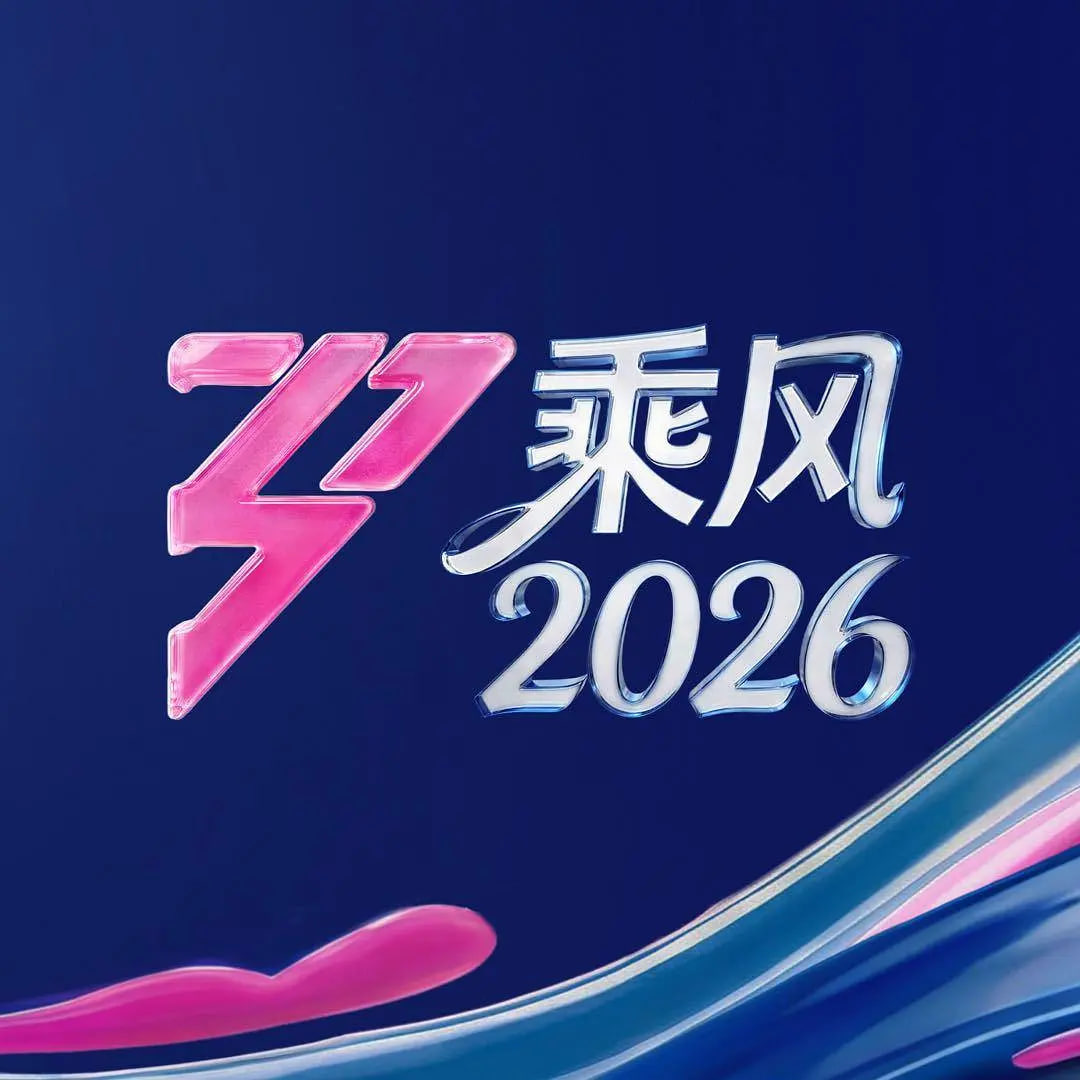 乘风2026——电视剧亲爱的