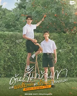 当橘子掉落时——邻家姐姐的味道